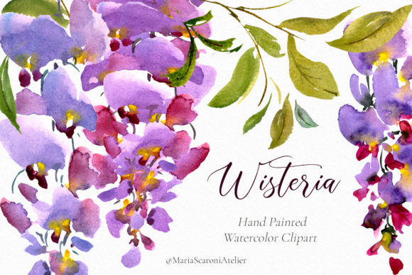 Watercolor Flowers Wisteria Clipart: A Versatile and Beautiful Addition to Creative Projects